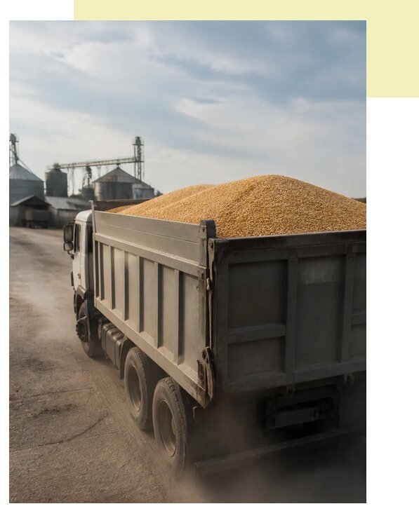 Перевозка сельхозпродукции навалом в Дубну по цене от 3063 р. | Агросервис-Дбн