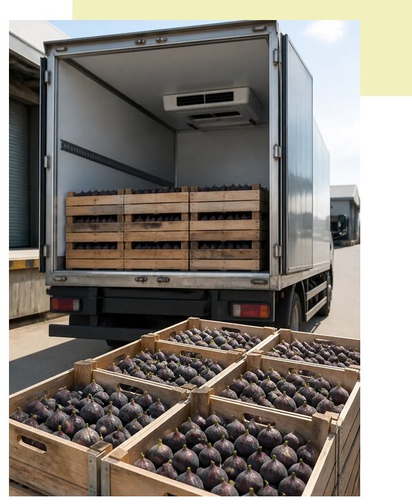 Доставка и перевозка инжира в Дубну по цене от 5105 р. | Агросервис-Дбн